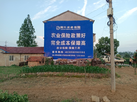 吴堡墙体广告为何受追捧?